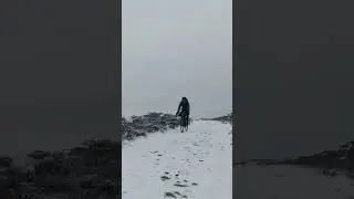 WALES NEVER FAILS