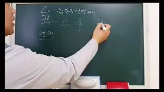 🌱 을축일주 일주론 - 피클의 행복한 명리