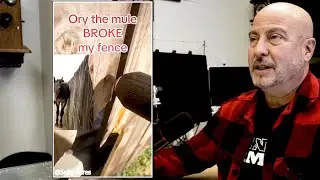 Fence Expert Reacts to Post Cap Installs, Repairs & Cleaning Hacks