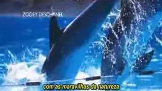 So long and thanks for all the fish (legendado)