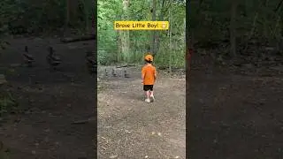 Brave Little Boy! #fun #nature #ducks #parkscanada #reservation #wildlife #music #cute