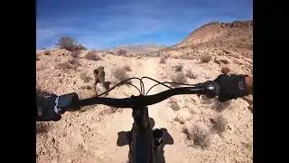 Bears Best E-Mountain Bike Tours