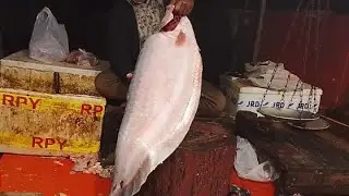Amazing fish cutting skill video 🐟🐠 relaxing with cutting skill video..