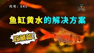 Anion Exchange Resin Protein Cotton | 蛋白棉是怎样消除鱼缸黄水的？
