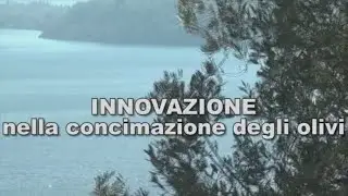 Innovazione nella concimazione degli olivi