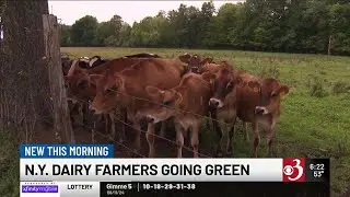 Gov. Hochul announces funds to support dairy farmers