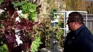 Enviroscape LA Vertical Farm