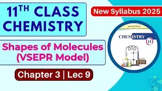 VSEPR Model | Predicting Shapes of Molecules ABx | Chapter 3 Lec 9 | 11th Chemistry | New Book 2025