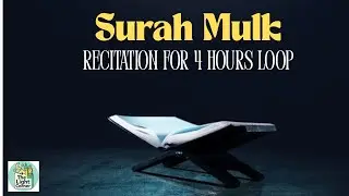 🌙 Surah Al-Mulk (4 Hour Loop) | Powerful Protection & Peace | Quran Live