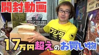 【爆買い】17万円超えなのに買ったことを忘れていた貴重なファミコン!【通常版】年間1000万円ゲーム購入ソフト4万本の部屋【ゲーム芸人フジタ】【開封芸人】【福袋芸人】【ゲーム紹介】【ゲーム実況】