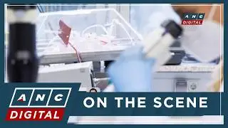 'Hindi basta-basta nakahahawa': DOH allays public fears on Nipah virus | ANC