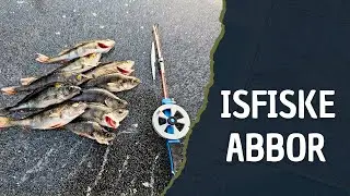 Ice fishing for Perch - January 2026