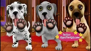 Dog World 🐶 Various Puppies Breeds 🐾 Game App for Kids
