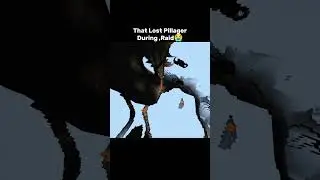 #halo