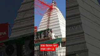Baba Baidyanath dham live Darshan 🙏🕉️ #deoghar #babadham #baidyanath #shorts #shortsfeed #viral