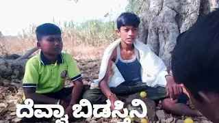 ದೆವ್ವಾ ಬಿಡಸ್ತಿನಿ