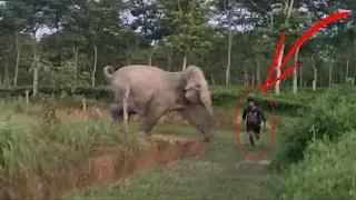Elephant attack Man/vs !!#assam !!#elephant 😱😱😱🦣🦣🦣