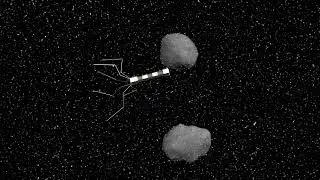 (Ancestral) Astrochicken Animation Clip | Astrochicken Archives | Orptonian Index