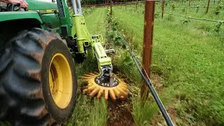 The ONLY Way To Weed Pinot Noir Grapes With A Compact Tractor
