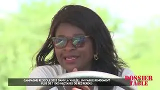FAIBLE RENDEMENT CAMPAGNE RIZICOLE 2023,DANS LA VALL&Eacute;E DU FLEUVE S&Eacute;N&Eacute;GAL