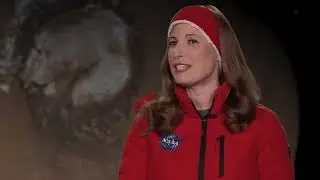 The Mars Report
