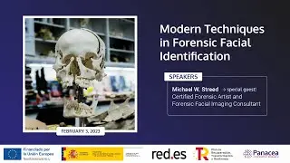 Modern Techniques in Forensic Facial Identification