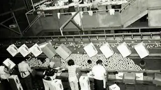 Central Florida citrus-packing plant gets new life