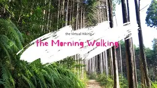 【4K, Virtual hiking】the morning walking【バーチャルハイキング, 岩湧山】