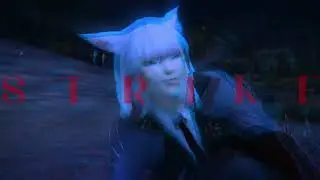Fight Little Wolf