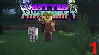 Can I Survive My First Night in BetterMc?