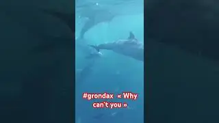 31 juillet 2023