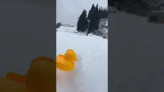 How to make a snow duck #snowball #snow #duck