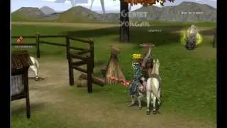 Geiler Server