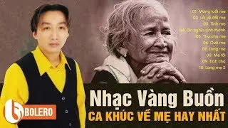 TRƯỜNG VŨ - NHẠC VÀNG BUỒN VỀ MẸ NGHE LÀ KHÓC | LK MỪNG TUỔI MẸ VÀ NHỮNG CA KHÚC CẢM ĐỘNG NHẤT