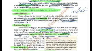 Osmoregulation  Difference between osmoregulators and osmoconformers 12th biology #biology