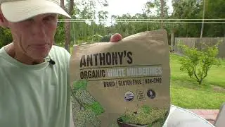 Tom Avery Coaching Raw Food Healthy livening Healthy Alkaline Carob Mint Ice Cream Snack
