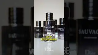 Which Dior Sauvage Has the best projection and lasts the longest?