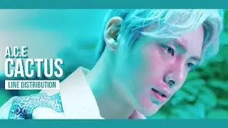 A.C.E - CACTUS (선인장) Line Distribution (Color Coded)