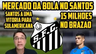 MINHA NOSSA! 15 MILHÕES NO BRAZÃO! SANTOS NA SULAMERICANA! VAGNER CONTA DETALHES!NOTICIAS DO SANTOS!