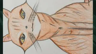 How To Draw A Cute cat easy Step By Step// Drawing Tutorial #cat #catdrawing