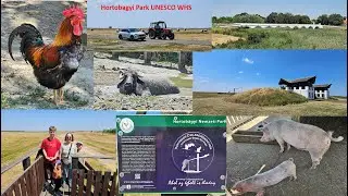Hortob&aacute;gy National Park: Natural UNESCO World Heritage Site ( WHS) in Hungary
