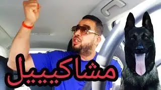 متى تتوقف عن تدريب كلبك مع خالد بادي بطل فرنسا في تدريب كلاب ال IPO