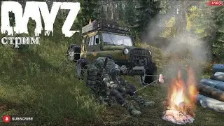 DayZ копим на машину. Стрим