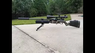 Air Venturi Avenger .22 custom, JSB 25.39's coming in hot!