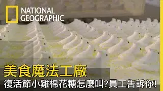 棉花糖輕盈蓬鬆的祕密，要是沒有它復活節小雞也無法擁有漂浮般的體型【美食魔法工廠】