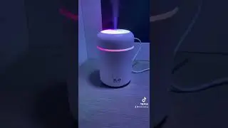 H20 Humidifier