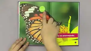 Learning Spanish 1 Book at a Time | 4/365 Books