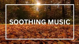 🌟 Meditation Music for Stress Relief & Healing | Calm Current