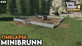 Purchase of henhouse and hens, soy harvest & contract - FS19 Timelapse (Minibrunn) | #25