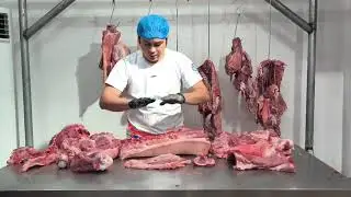 Different Parts Of Half Pork Carcass